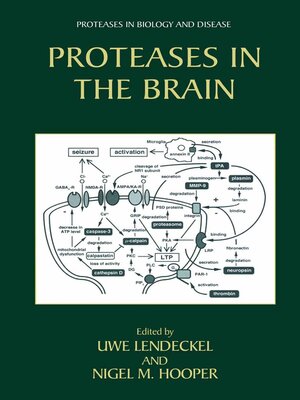 cover image of Proteases in the Brain